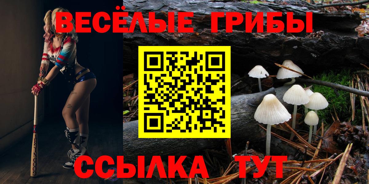 Людиново  Галлюциногенные грибы мухоморы  Вход с VPN 