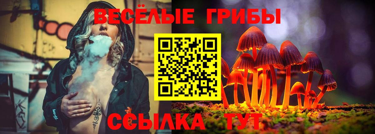 Галлюциногенные грибы Psilocybine cubensis Людиново